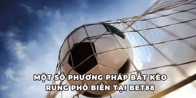 Một số phương pháp bắt kèo rung phổ biến tại BET88