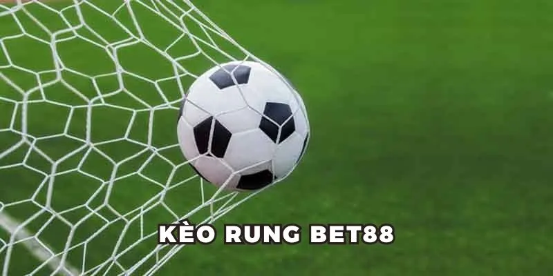 Sơ lược một số nét chính trong kèo rung