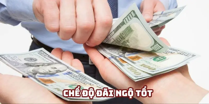 Lợi ích khi tham gia vào hệ thống nhân viên của nền tảng BET88